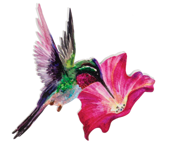 Hummingbird screen door magnet with vibrant pink flower accent for protection on Tampa Home & Garden Store