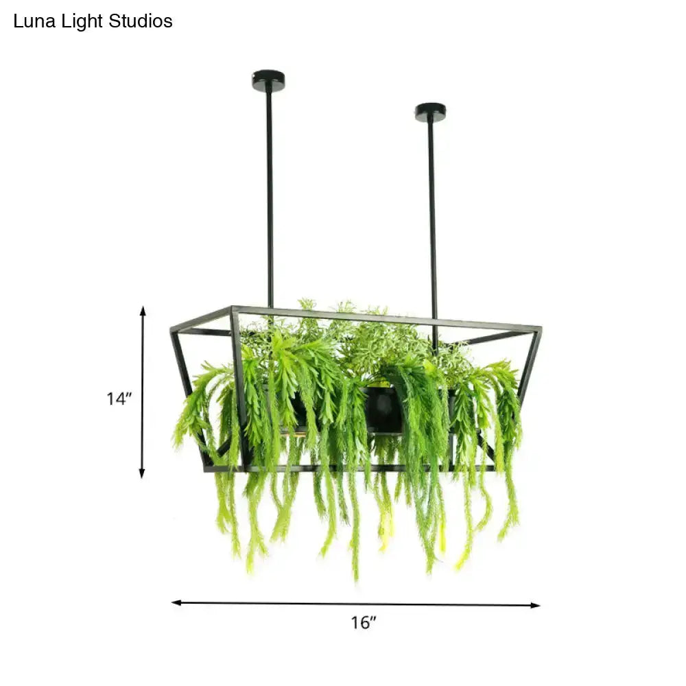 Retro black metal ceiling light planter for dining room with cascading ferns, 16x14 on Tampa Home & Garden Store