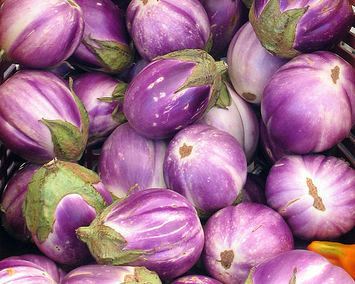 Rosa Bianca eggplants, purple-skinned in a pile on Tampa Home & Garden Store