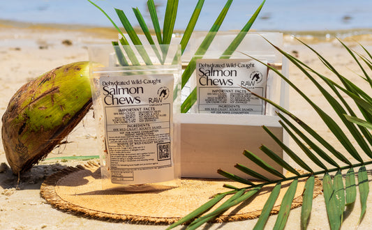 Masticables de salmón salvaje – 56 g | Raw Instincts | Premio rico en omega para perros y gatos