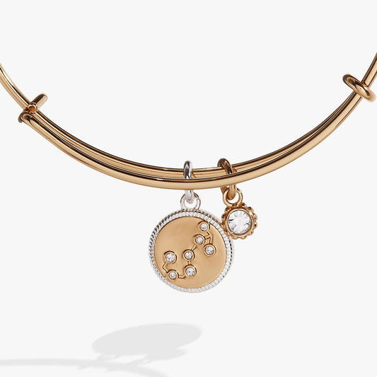 Scorpio Zodiac Charm Bangle by Alex and Ani, rose-gold tone bracelet with crystal disc charm on Tampa Home & Garden Store