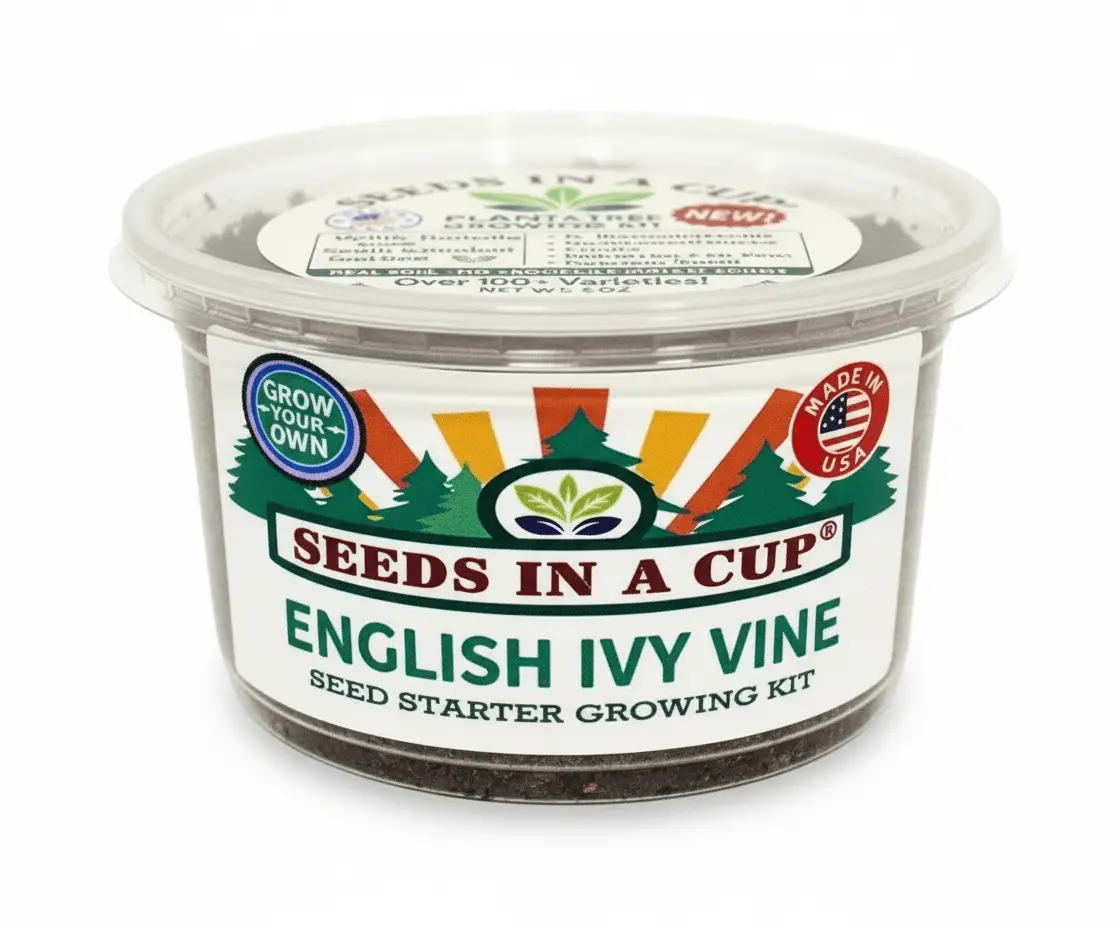 Seeds In A Cup English Ivy Vine seed starter growing kit in a clear plastic cup on Tampa Home & Garden Store