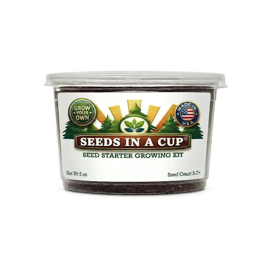 Sweet corn grow kit seed starter Seeds In A Cup in a plastic tub on Tampa Home & Garden Store