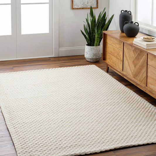 Kassa Cream hand woven area rug, transitional style by Boutique Rugs on Tampa Home & Garden Store