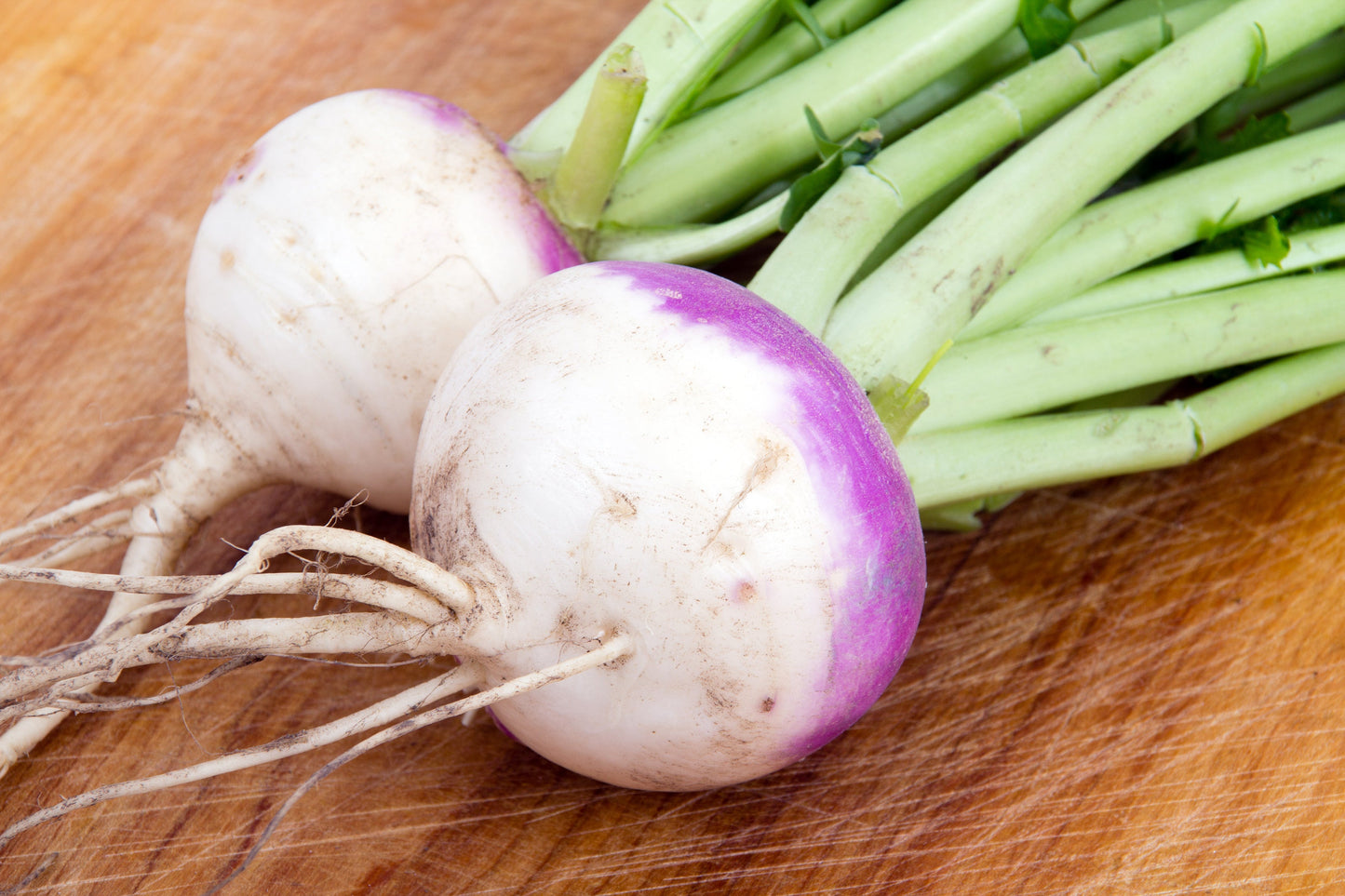 Thunder Acres Purple Top Turnips with white roots and purple crowns, green tops on Tampa Home & Garden Store