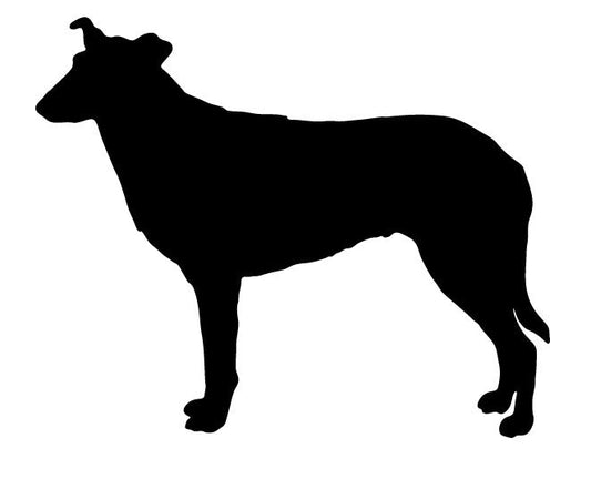 Smooth Collie garden stake or wall hanging silhouette, black, Rustica Ornamentals lawn ornament on Tampa Home & Garden Store