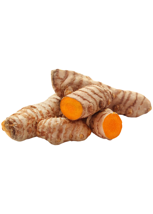 Orange turmeric rhizomes Curcuma longa, fresh tubers with orange flesh, Sow Exotic on Tampa Home & Garden Store