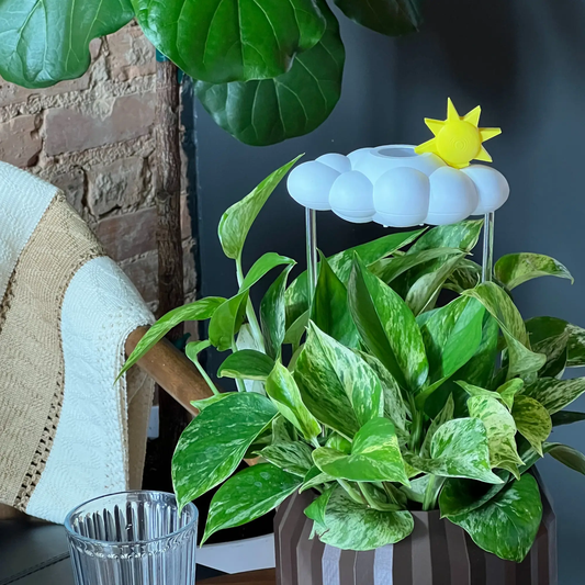 Original Dripping Rain Cloud with Sun Charm houseplant accessory, white cloud with yellow sun on Tampa Home & Garden Store