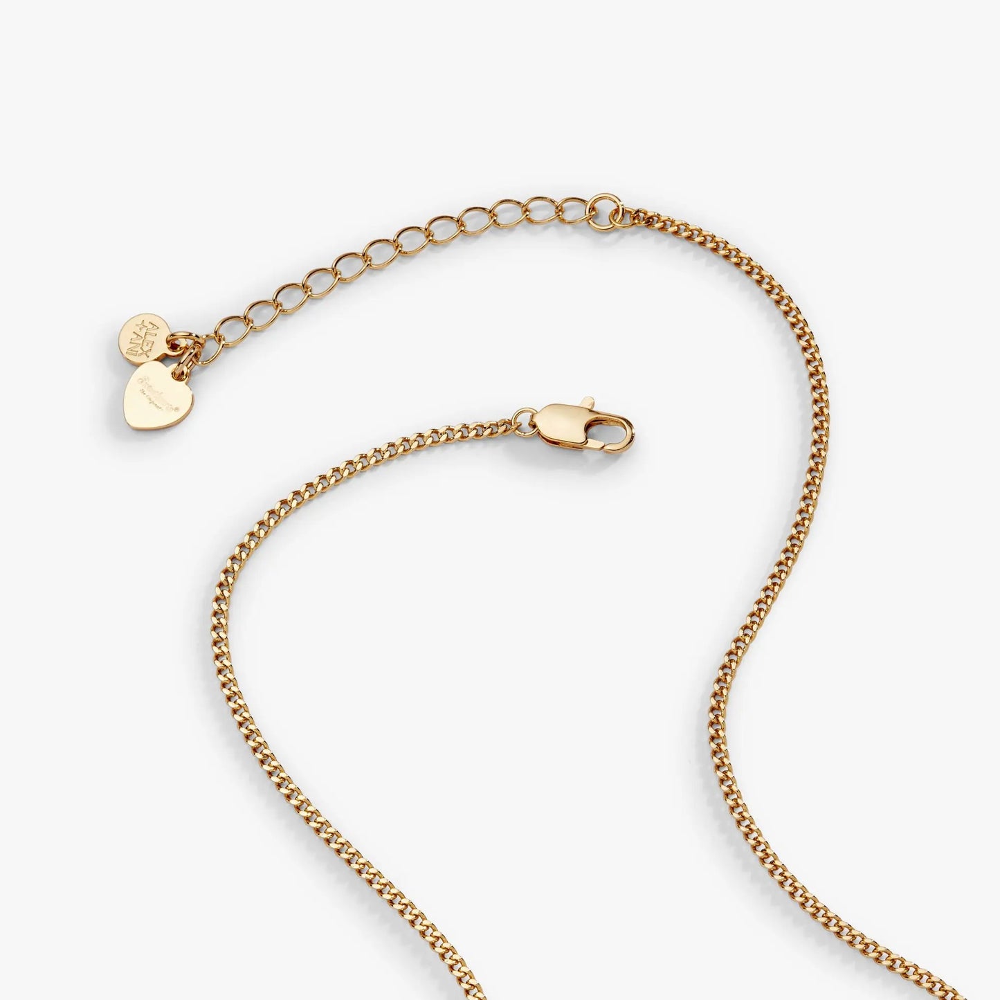 Gold-tone Sweethearts Box Locket and Heart Charm necklace with ALEX AND ANI tag on Tampa Home & Garden Store