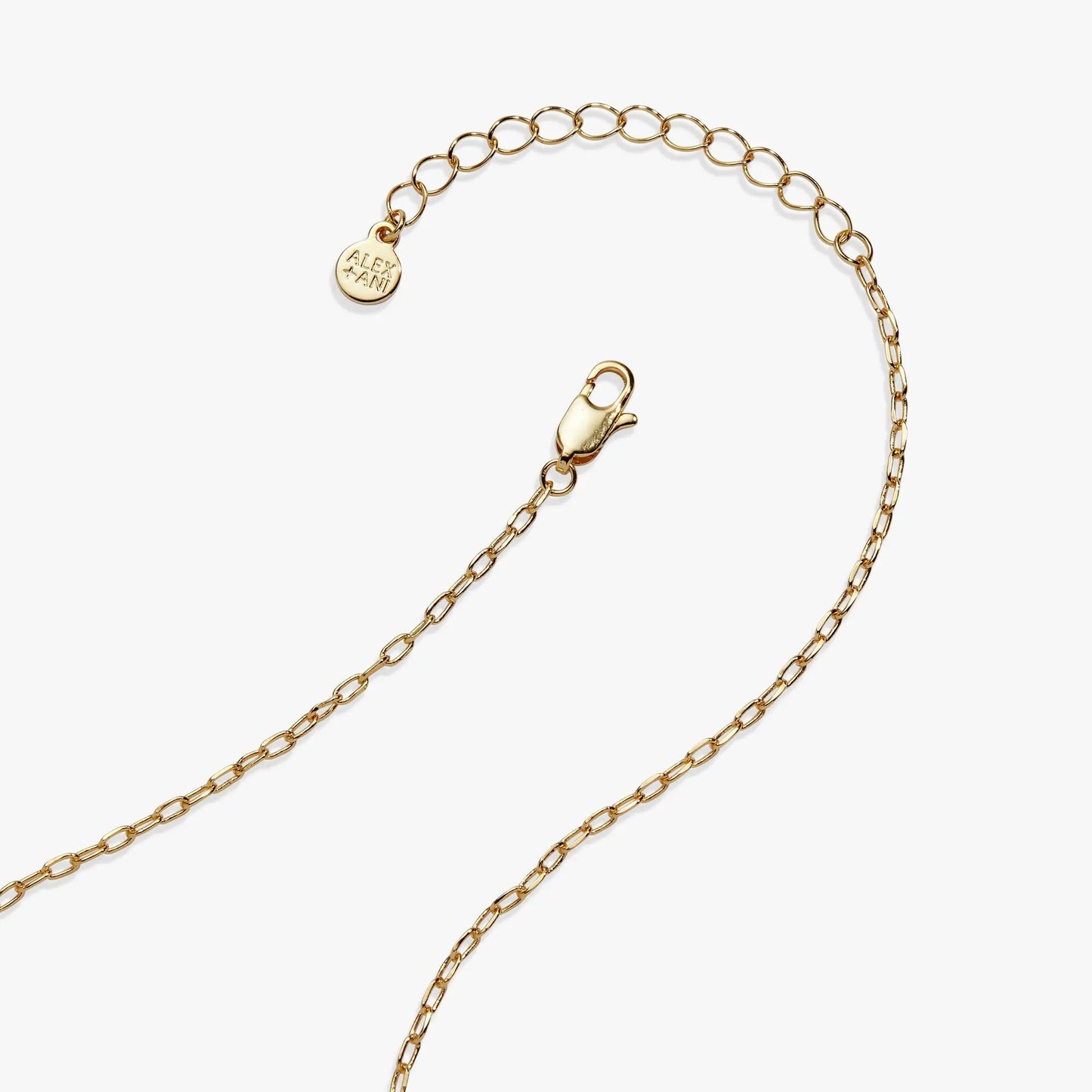 Taco Truck Locket Necklace gold-tone chain with ALEX AND ANI tag, lobster clasp on Tampa Home & Garden Store