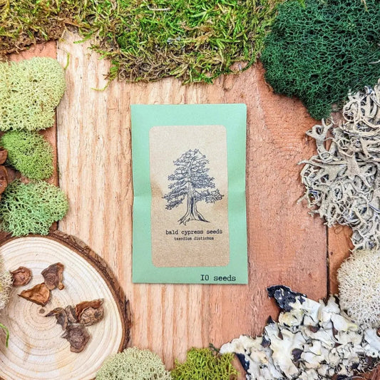 Plantflix Bald Cypress Bonsai Seeds packet with tree illustration 10 seeds on Tampa Home & Garden Store