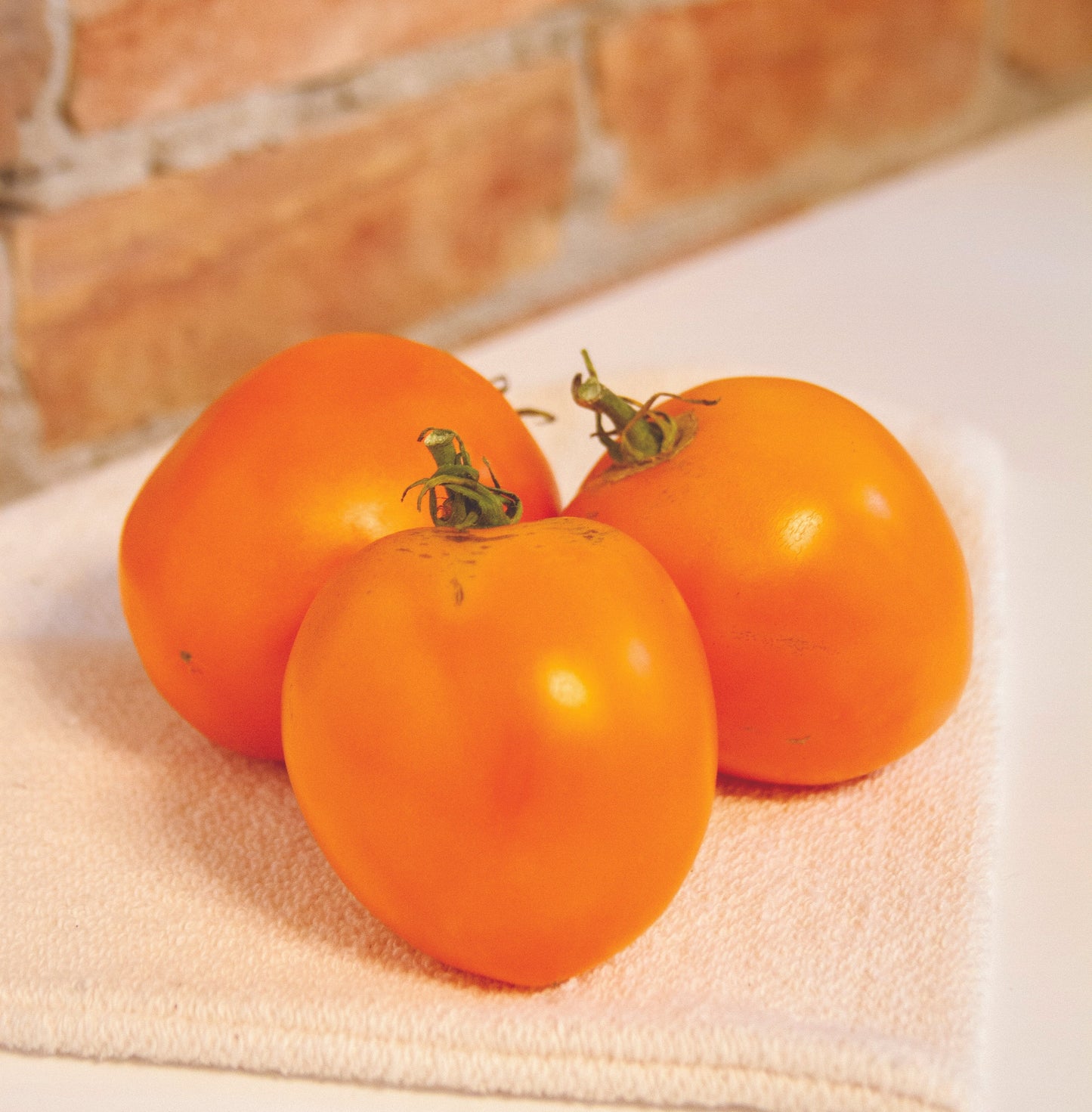 Valencia Tomato; bright orange tomatoes with green stems on a towel on Tampa Home & Garden Store