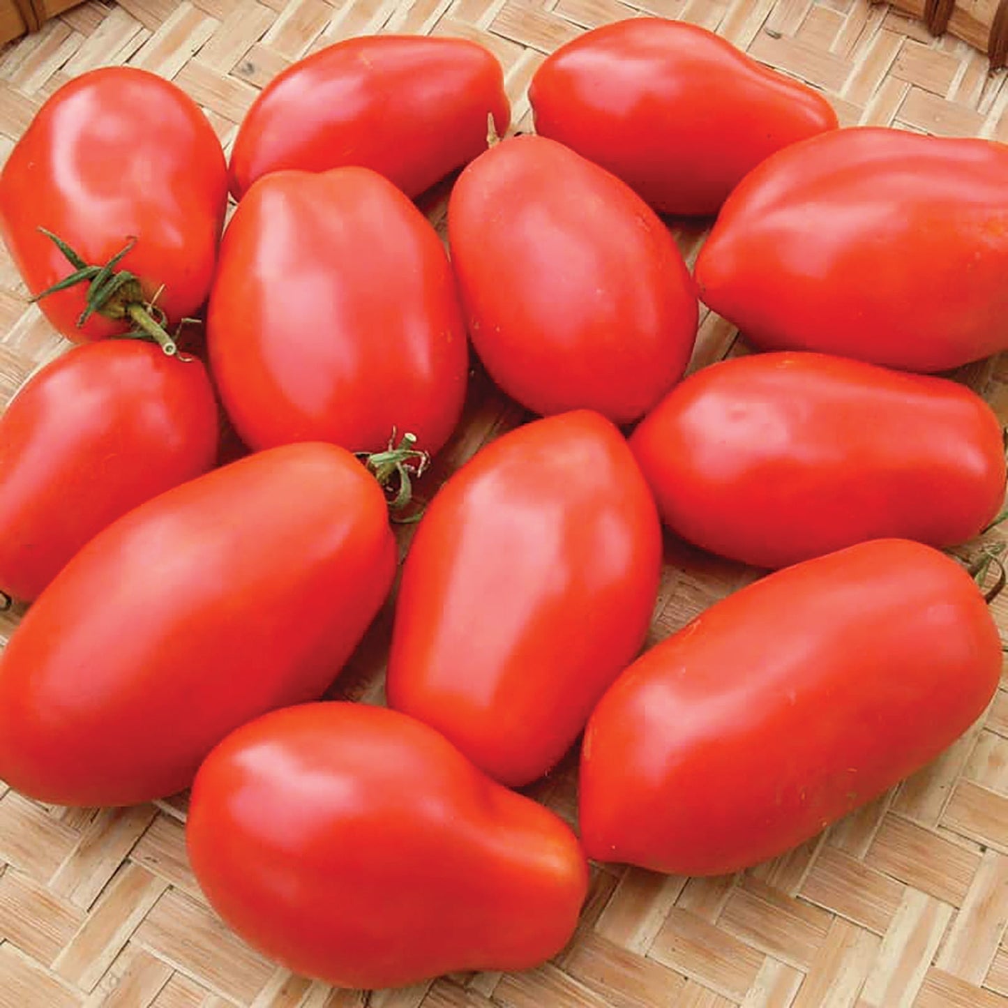 Napoli tomato seeds red glossy tomatoes shown on a woven basket on Tampa Home & Garden Store