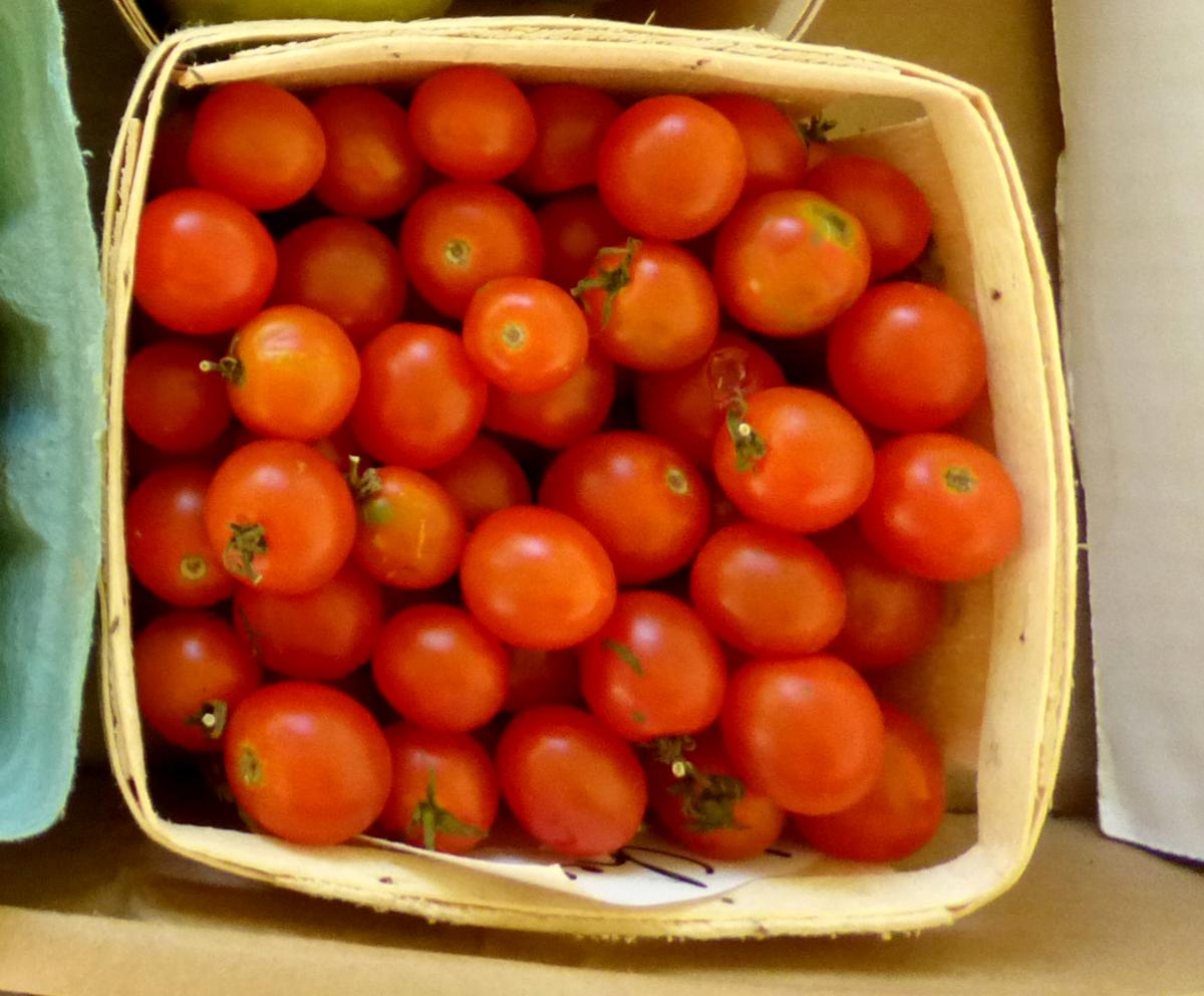 Red cherry tomatoes in a basket; dozens of round red fruits with stems on Tampa Home & Garden Store