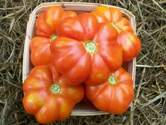 Five large red tomatoes in a basket with straw, glossy orange-red fruit on Tampa Home & Garden Store