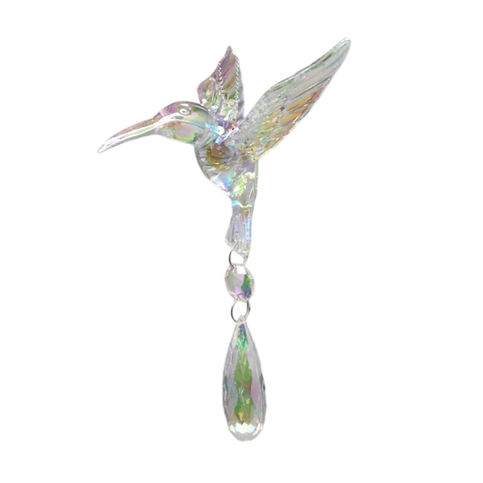 Acrylic iridescent hummingbird ornament, hanging crystal pendant on Tampa Home & Garden Store