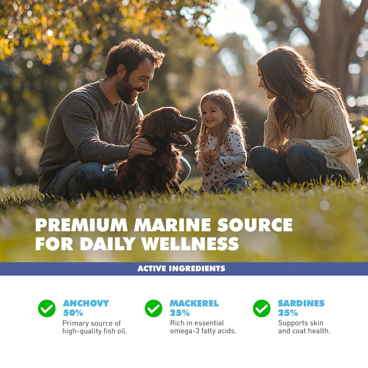 Omega 3 capsules for dogs and cats health: family with dog in park promotes pet wellness on Tampa Home & Garden Store