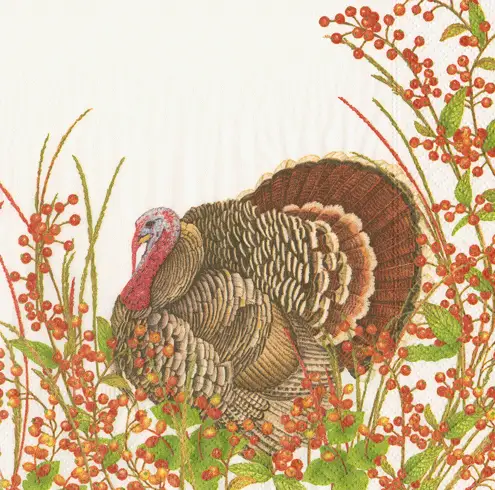 Turkey and Berries Cocktail Napkins cream turkey and red berry motif by The Country Christmas Loft on Tampa Home & Garden Store