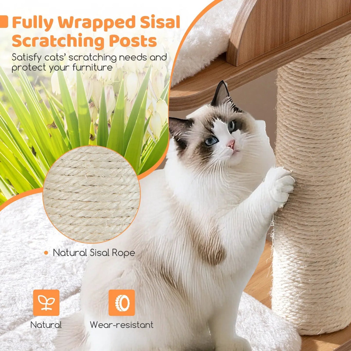 Wooden cat tree with 2-floor condo and natural sisal rope posts on Tampa Home & Garden Store