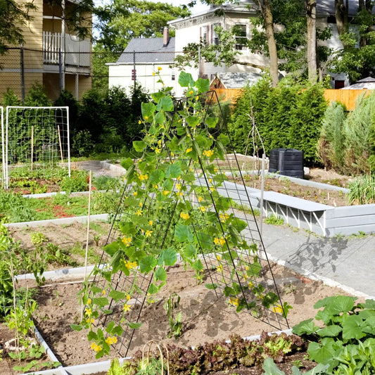 A-Frame Garden Trellis for Climbing Plants