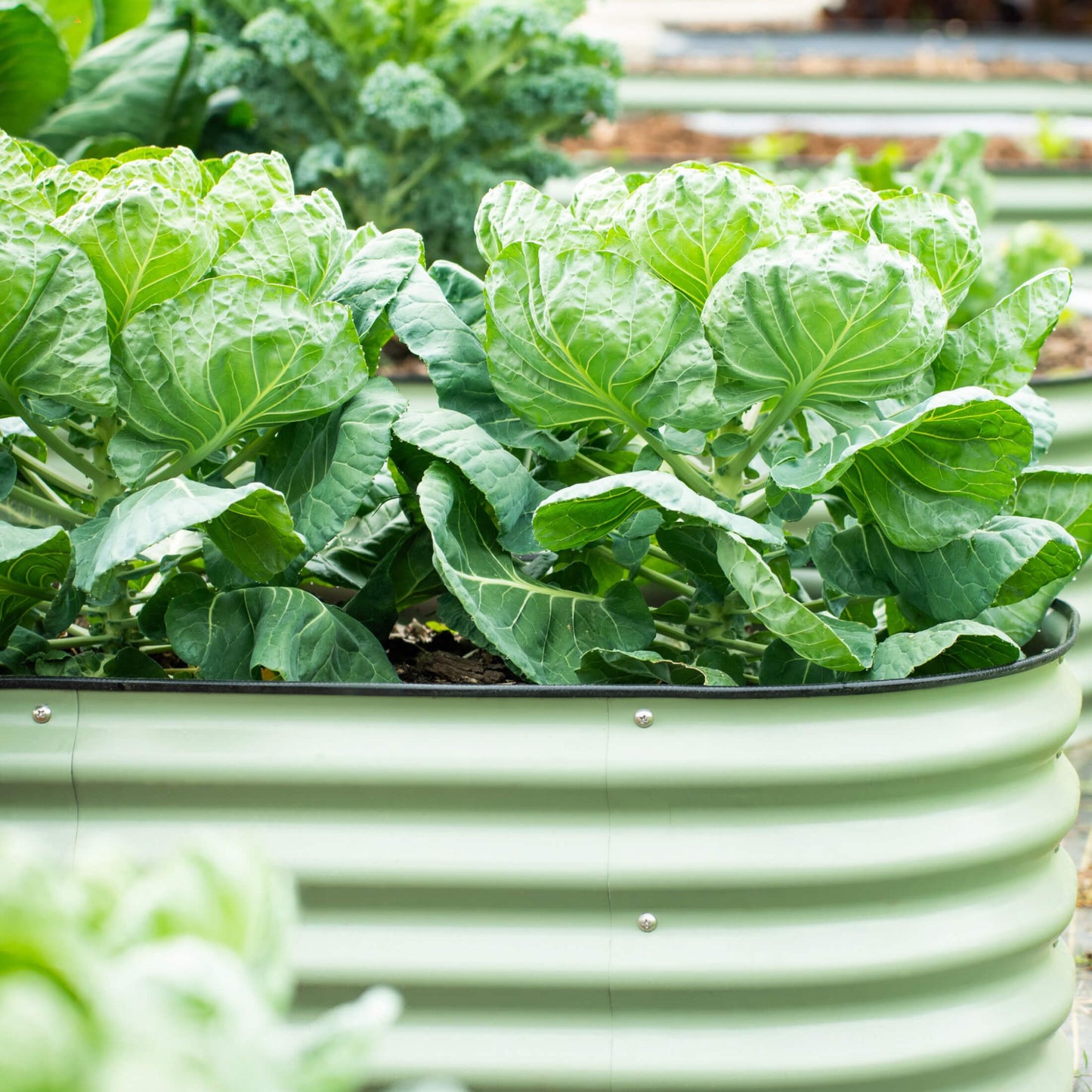 26" Tall 4 In 1 Small Modular Metal Raised Garden Bed Kit