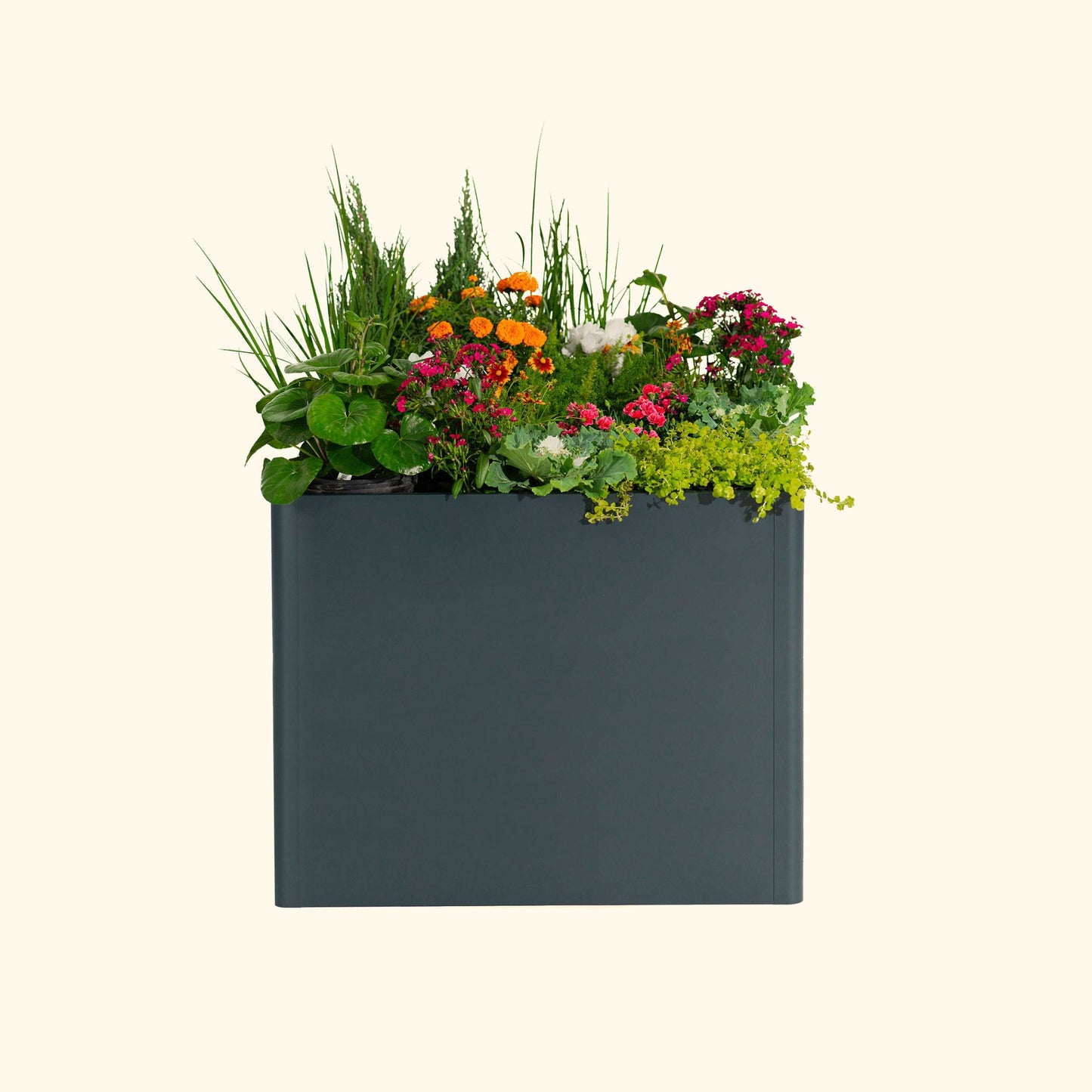 32" Tall Modern Raised Garden Bed Square 42" x 42" Metal
