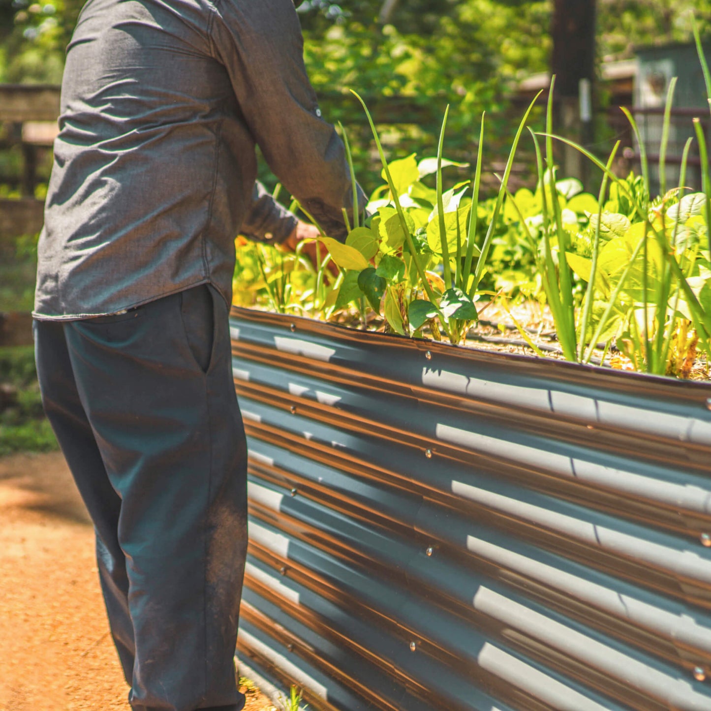 Jardinière surélevée de taille moyenne de 32 po de hauteur, 6 en 1, modulaire en métal