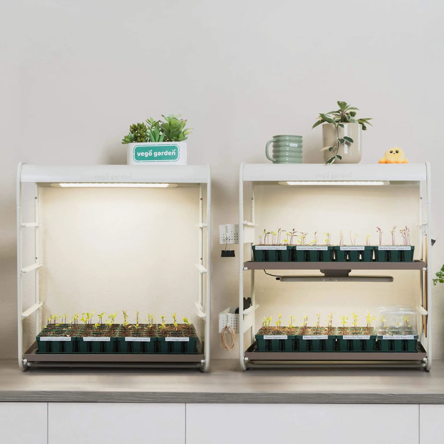 2 Tier Tabletop Grow Light Garden - Tampa Home & Garden Store