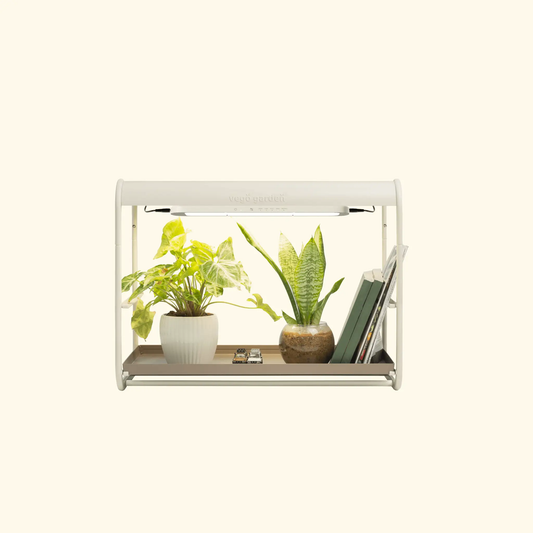 1 Tier Tabletop Grow Light Garden - Tampa Home & Garden Store