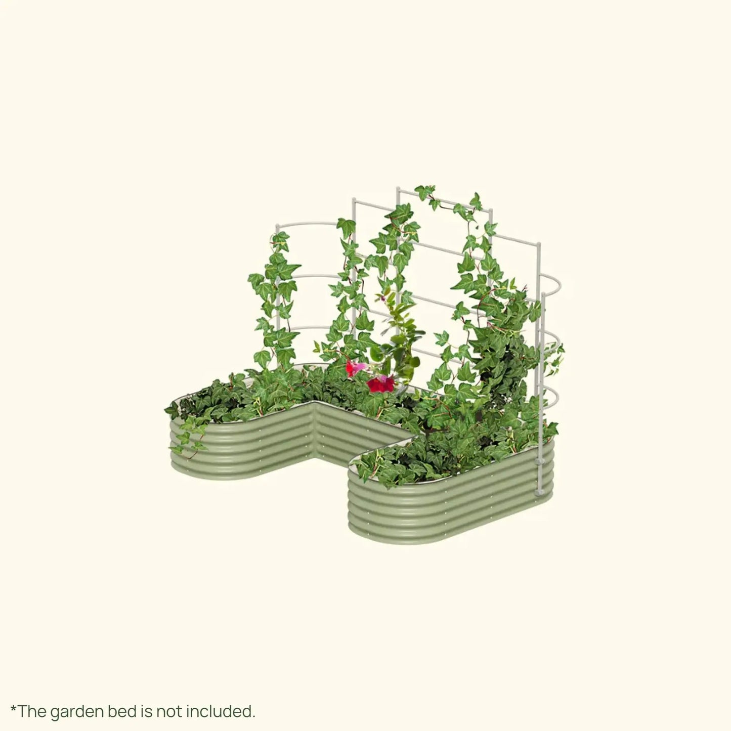 Modular metal wall trellis system for vertical garden with climbing ivy by Vego Garden on Tampa Home & Garden Store