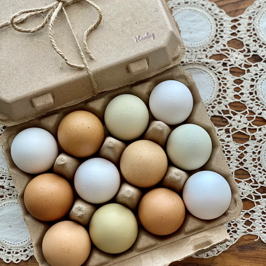 Egg Cartons Henlay Vintage Blank 3x4 design kraft brown carton with pastel eggs on Tampa Home & Garden Store