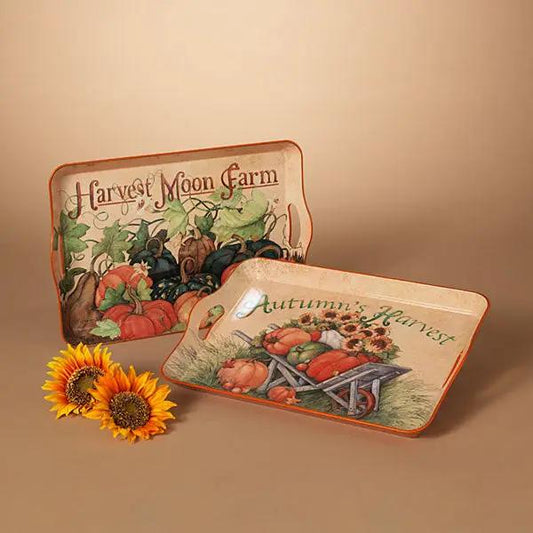 Harvest Design Tray with Gourds and Pumpkins - pair of autumn harvest trays on Tampa Home & Garden Store