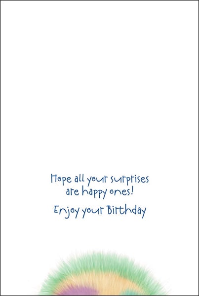 Birthday Card Stylin With Full Color Interior blue handwritten message and rainbow edge on Tampa Home & Garden Store