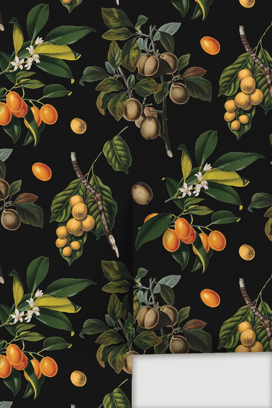 Vintage Orchard Wallpaper Black Matte with oranges & leaves by Samantha Santana Creative on Tampa Home & Garden Store