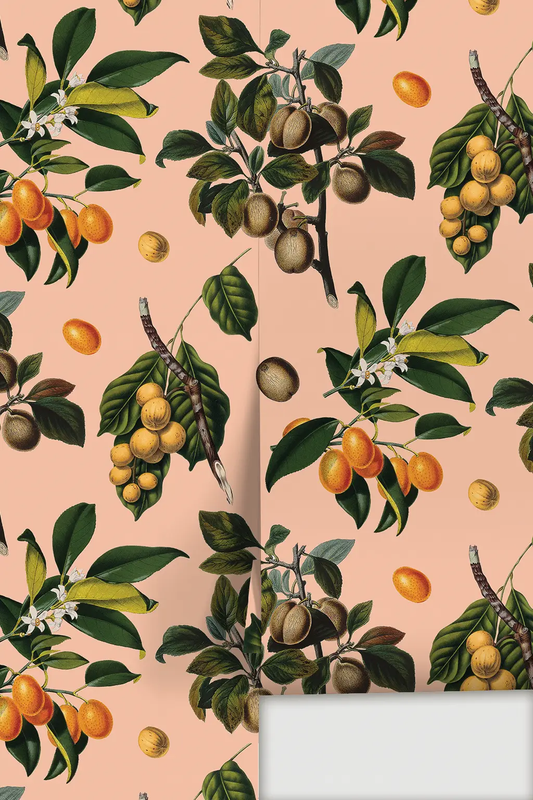 Wallpaper Peach Vintage Orchard motif on peach background by Samantha Santana Creative on Tampa Home & Garden Store