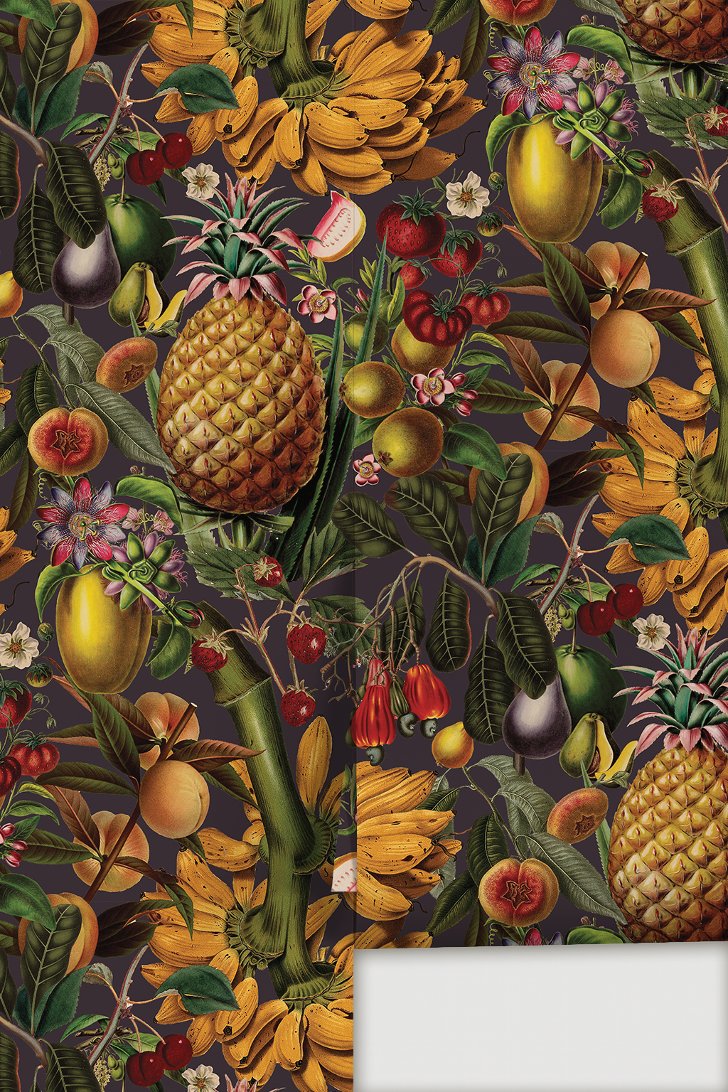 Papel pintado de fruta jugosa, ciruela