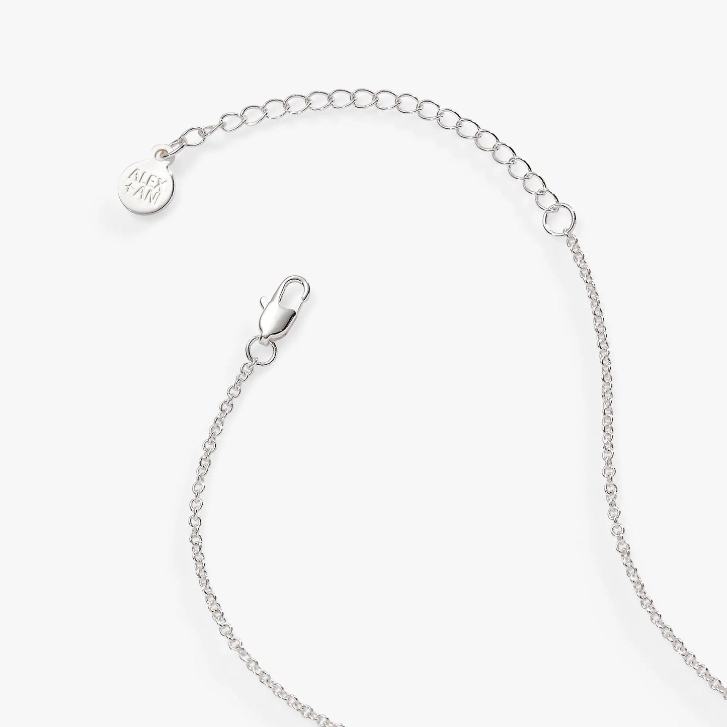 Wild at Heart Duo Charm Pendant Necklace silver-tone with Alex and Ani circular charm on Tampa Home & Garden Store