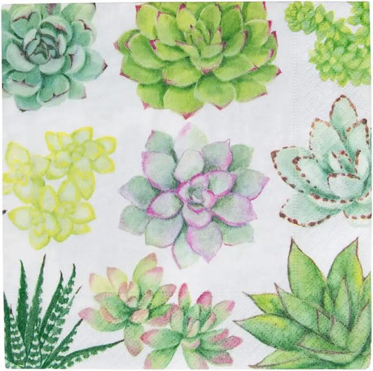 Succulents Paper Luncheon Napkins with colorful succulent prints on white background for lunch on Tampa Home & Garden Store