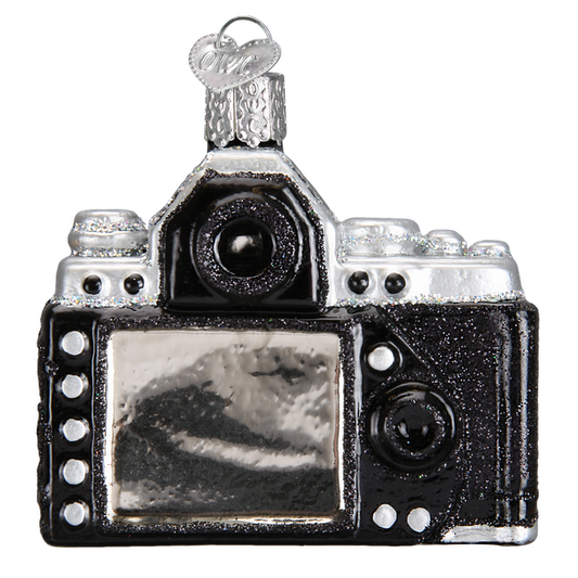Camera Glass Ornament - Tampa Home & Garden Store