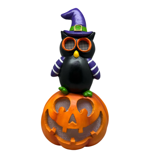 Owl on pumpkin Halloween ornament with moving digital eyes, black body, purple witch hat on Tampa Home & Garden Store