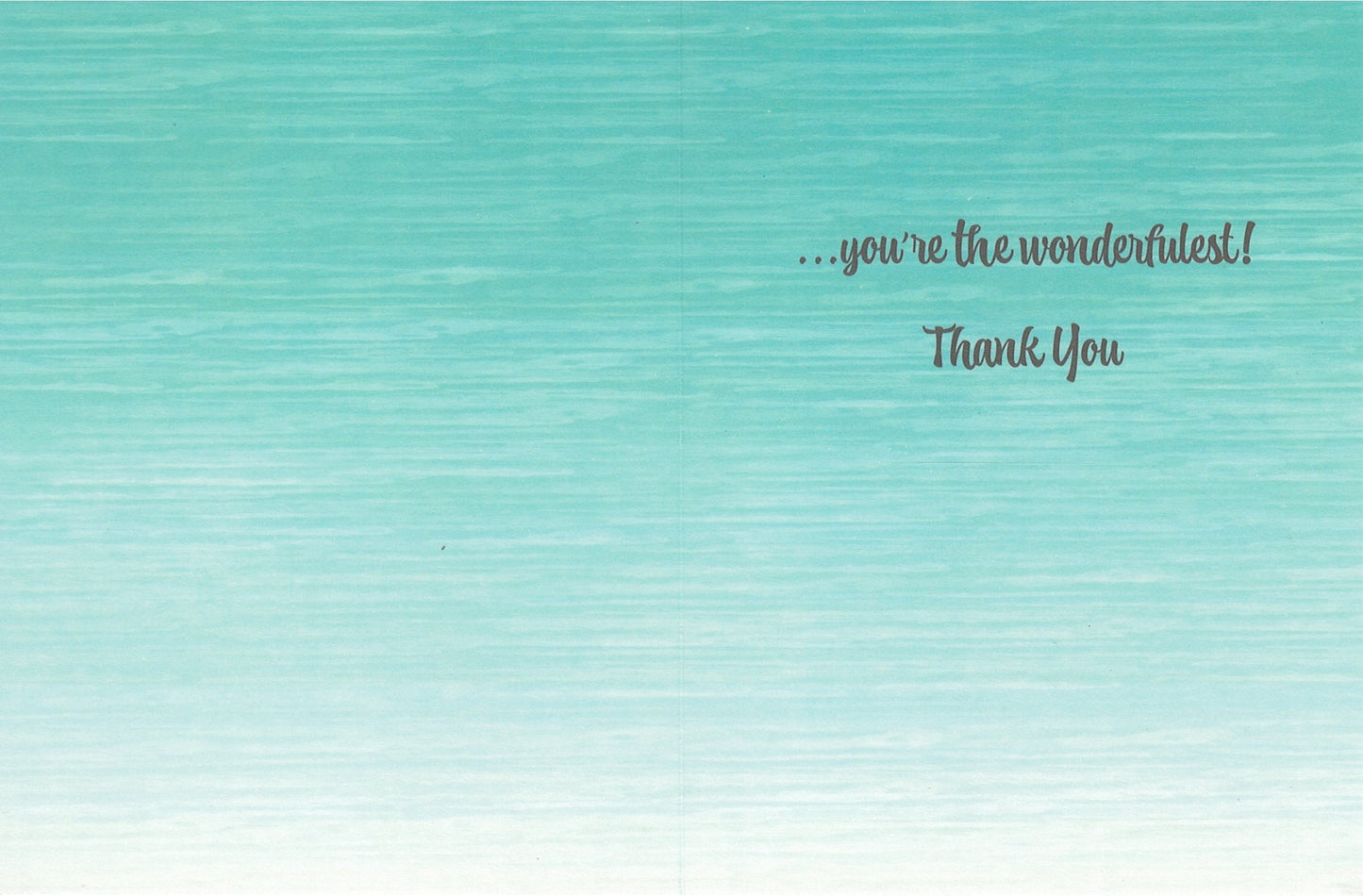 Thank You Card for Wonderful People turquoise wood background with wonderfulest script on Tampa Home & Garden Store