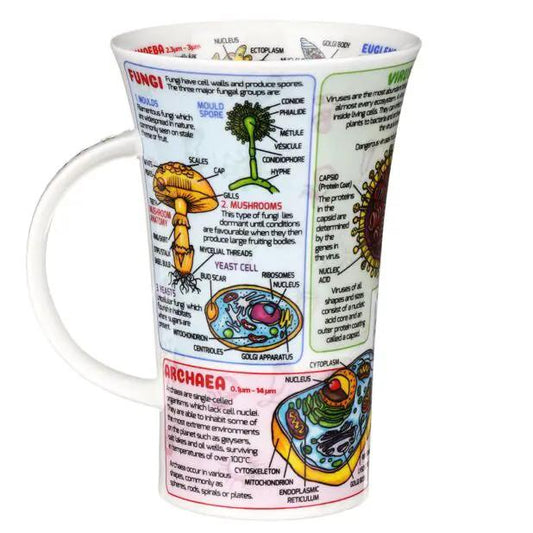 Microbiology Fine Bone China Mug Glencoe Style with colorful cell diagrams on Tampa Home & Garden Store