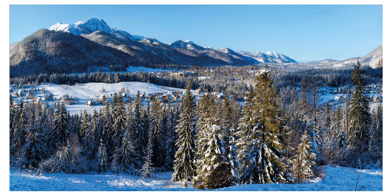 Tela de fondo de My Village - Pueblo invernal - 118 x 59 pulgadas