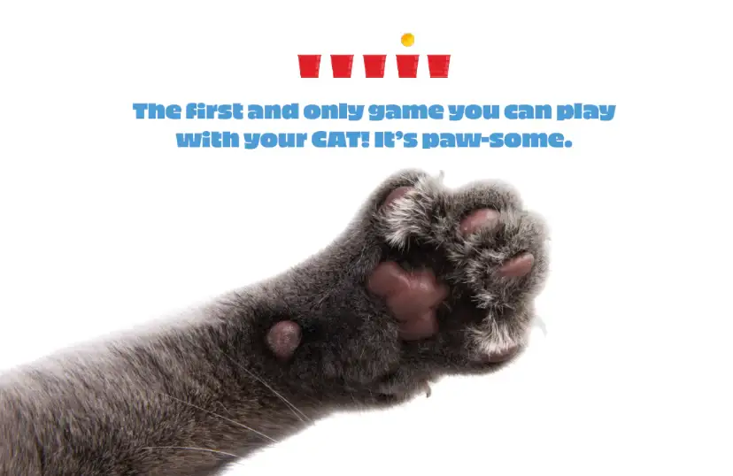 Knock It Off Cat Game close-up gray cat paw with pink pads on white background on Tampa Home & Garden Store