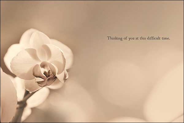 Tarjeta de condolencias: Pensando en ti en estos momentos difíciles