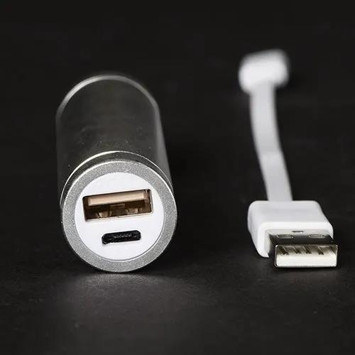 Silver USB Rechargeable Power Bank with USB-A and micro-USB ports on Tampa Home & Garden Store