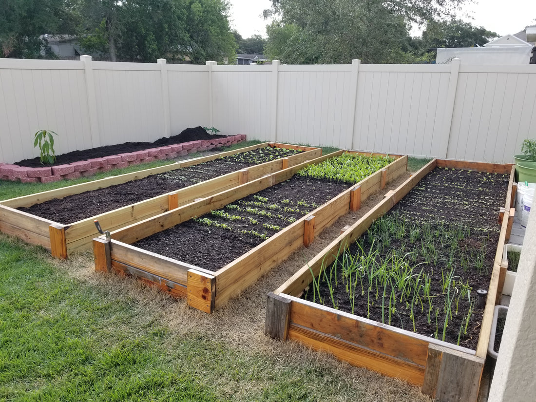 DIY raised garden bed installation