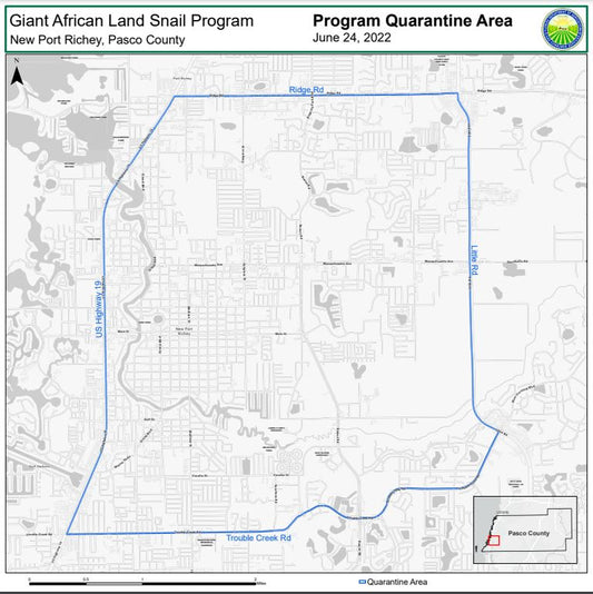 Beware: African Snails in New Port Richey
