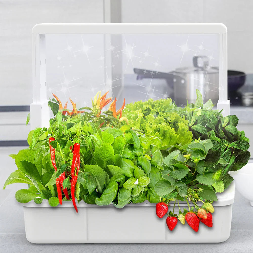 Counter top hydroponic system - white color in a kitchen setting - Tampa Home & Garden Store