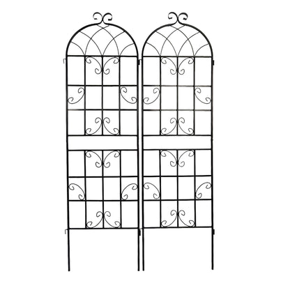 Metal Trellis For Climbing Plants And Vines